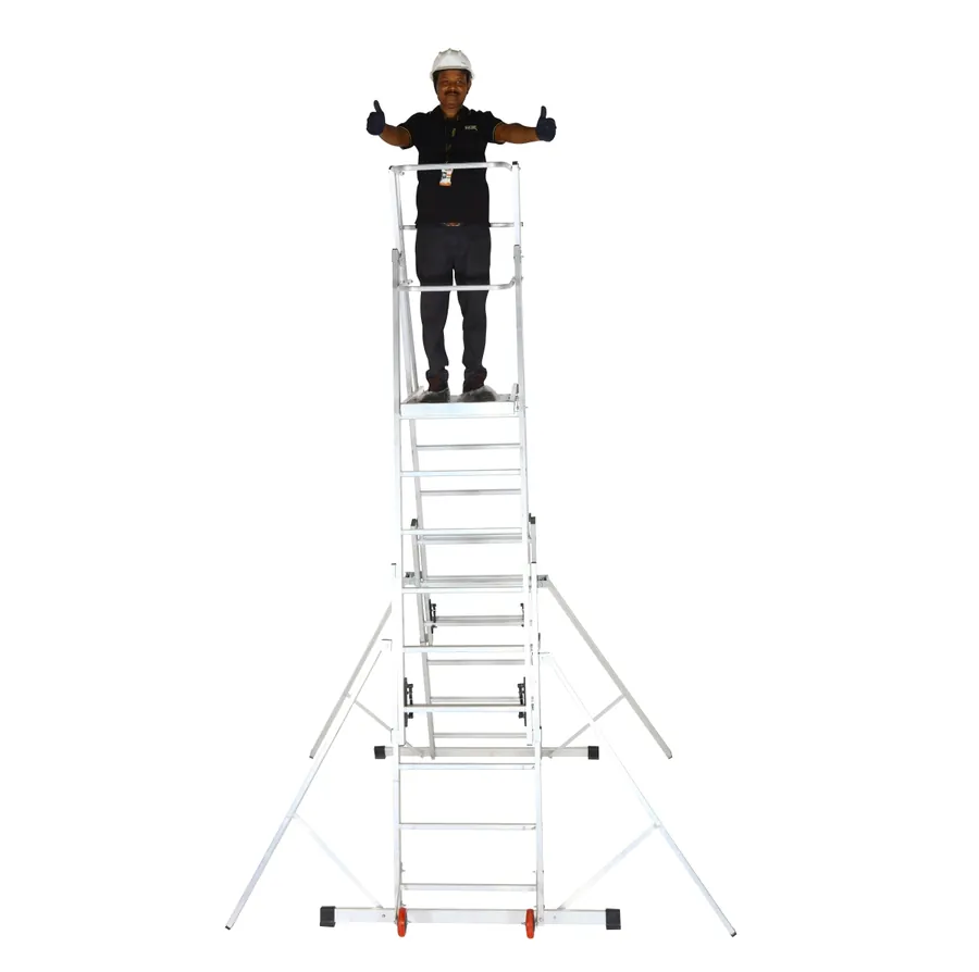 Aluminium cage ladder